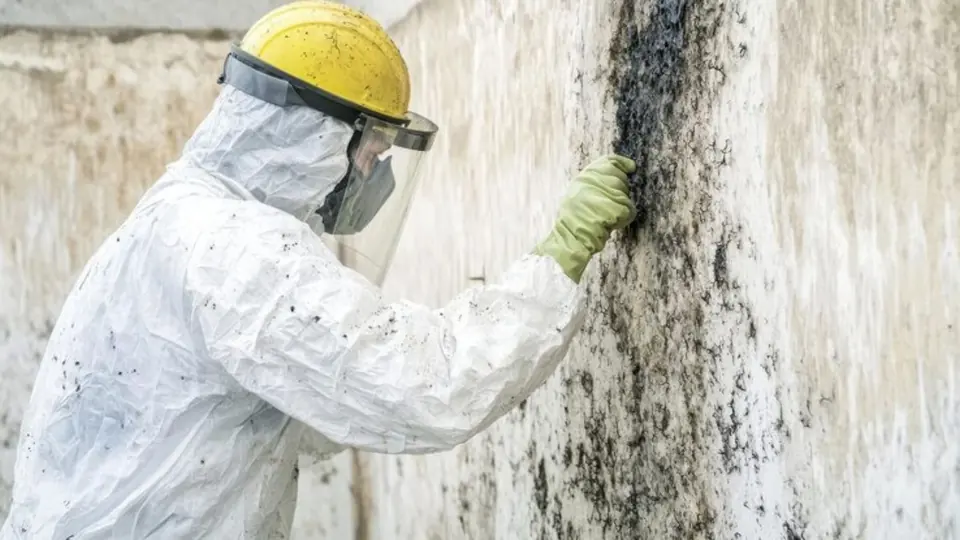 Worker in a protective suit and face shield cleaning dark mold from a wall