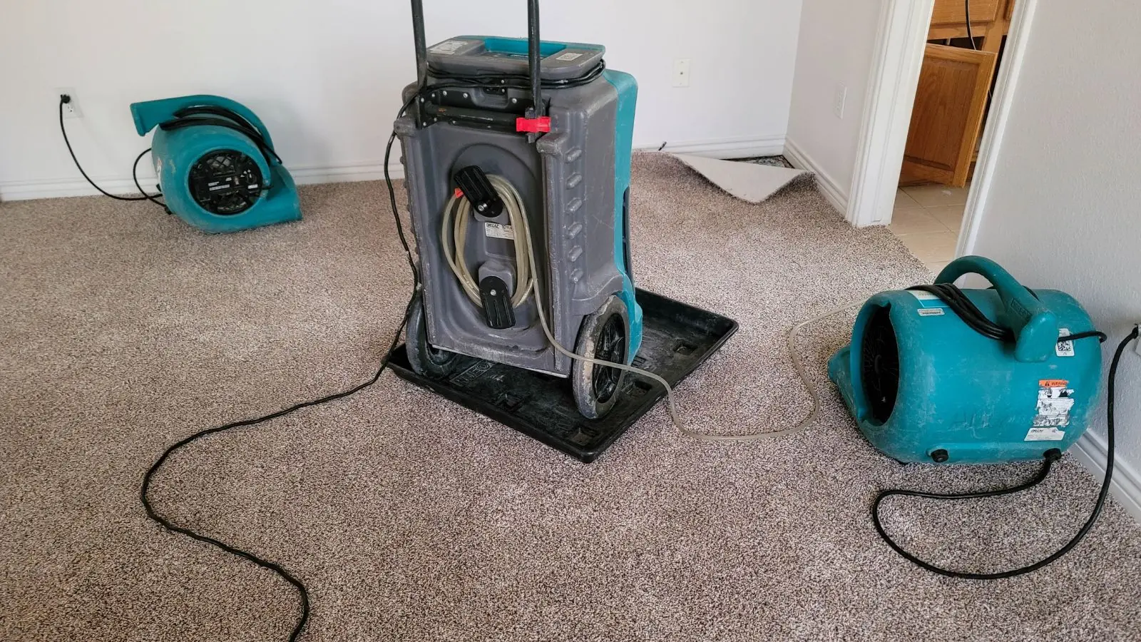 Dehumidifier and two air movers running on a carpeted floor