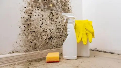 Dark mold spots on a wall corner beside a spray bottle, rubber gloves and a sponge
